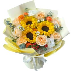 7㙉õ3տ(sh)F(xin)ĉ(mng)