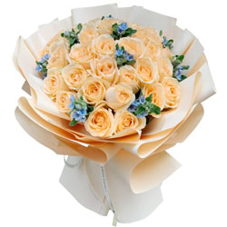 28���㙉õ����׌�۟o������