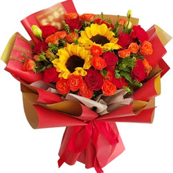 11��tõ��2�����տ����q�q�Ԝ�ů