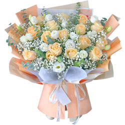 15㙉õMSMՈ(qng)