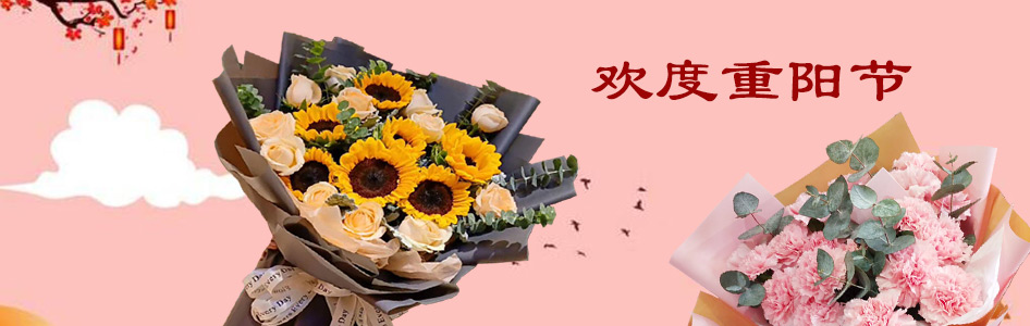 ꖹ(ji)ӆ